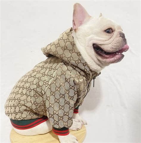 gucci dog clothes amazon|gucci dog clothes wholesale.